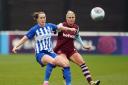 Elisabeth Terland could miss Albion's game at home to Aston Villa