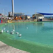 King's Road paddling pool reopens on Saturday