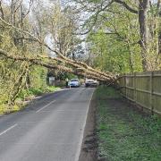Road closed after tree falls on road during high winds - live updates