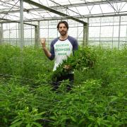 Ben Cross wants people to support British flower growers