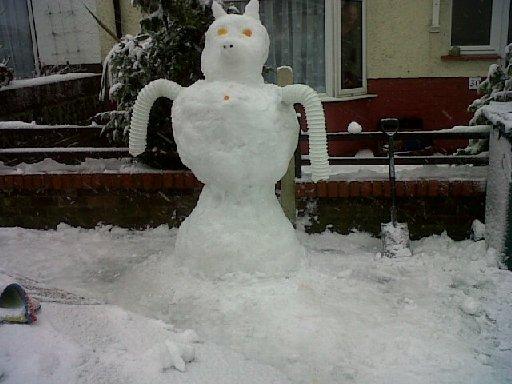 Snow Pig sent in by Alice and Declan Burtenshaw, from Brighton.