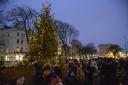 File image of Christmas Tree in Palmeira Square, Hove