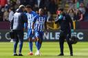 Pervis Estupinan is among Albion players affected by injuries