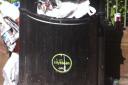 LITTER: Nobody wants to advertise on Brighton's bins