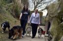 Janet Oliver with her other dogs and with Lois Morris, director of Corie Collies kennels and cattery