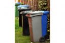 Rise in vermin after bin problems in Brighton and Hove