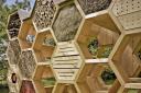 Brighton bee hotel planned for Stanmer Park