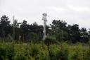 Cuadrilla signs 30-year lease for Balcombe fracking site