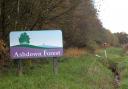 Car park signs at the forest have been targeted by vandals