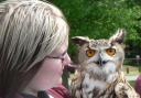 Helen Newing with European eagle owl Gypsie
