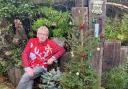 Geoff and his potted Christmas trees