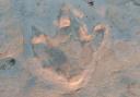 Sue Lea found the footprint on Bexhill beach