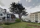 A 'landmark tree' in Seaford has been saved from the chop after an appeal was rejected