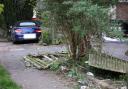 A car crashed into a hedge in Hove this morning