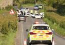 A man has died in a crash near Petworth