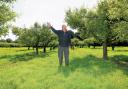 Tony Eales and his orchard