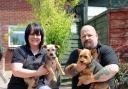Local heroes who save the strays in East Sussex