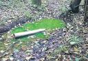 Mystery over green stream near Cuadrilla drilling site in Balcombe