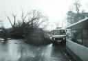 A fallen tree at Old Steine, Brighton, during the storm of 1987. Photo by Simon Dack