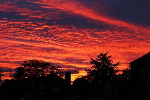 This morning's sunrise will have been a worrying sight for shepherds, with the skies ablaze with scarlett. 
The stunning sight captured the imaginations of Sussex photographers, who took these pictures. 