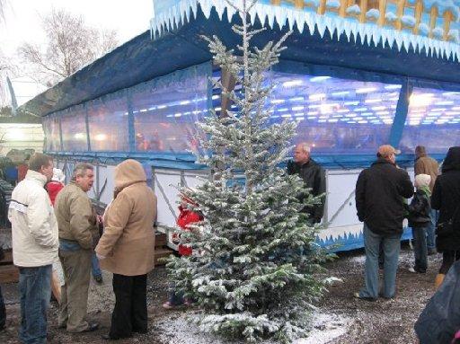 Two Brighton brothers were convicted today of misleading thousands of customers into visiting a what they claimed was a Lapland-style theme park.

Victor and Henry Mears were found guilty by a jury at Bristol Crown Court following a two-month trial.
He