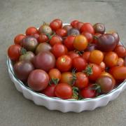A recipe for green tomatoes