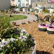GOING, GOING: The Lewes Road community gardens are set to close to make way for a petrol station