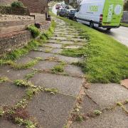 Weeds in the pavement at Greenfield Crescent