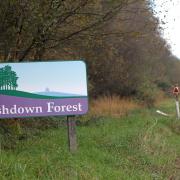Car park signs at the forest have been targeted by vandals