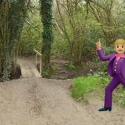Police are appealing for information following reports of a 'disco' in Haywards Heath woodland