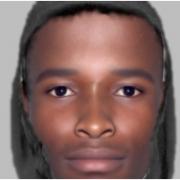 An e-fit of a sex attack suspect who groped a woman in Leylands Road, Burgess Hill, has been released by Sussex Police