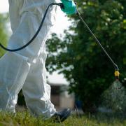 Glyphosate weed killer has been banned by other councils