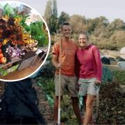 Husband and wife fundraising to build new workshop on their market-farm in Hastings