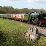 The Flying Scotsman will be visiting Sussex's Bluebell Railway this summer