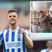 Joël Veltman has been a stalwart for Albion this season. Inset, the Seagulls' defender rescuing a seagull