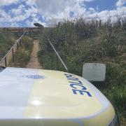 Police are increasing patrols in Telscombe amid a  rise in livestock worrying