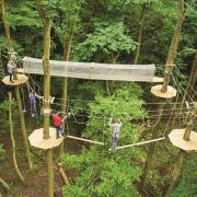 Go Ape in Crawley named among best value days out this summer