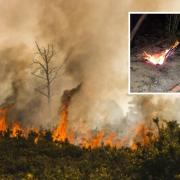 More than 60 deliberate fires have  sparked wildfire warnings in Sussex