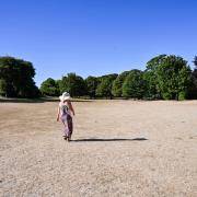 Fields and parks across the county, including Queen's Park in Brighton, have been left parched due to the lack of rainfall over the last few months