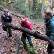TWEACK members moving wood for new paths