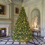 Petworth House has been decorated ready for Christmas