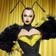Drag Race UK star Cheddar Gorgeous will perform at Club Revenge in Brighton next year