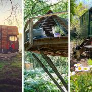 From converted horseboxes to treehouses, Sussex offers a range of quirky and unique places to stay