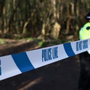 Council leader Phelim Mac Cafferty said he was 'shocked and heartbroken' after the remains of a baby were found in Brighton