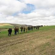 Farmers walked across the downs