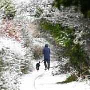 Man and dog in Brighton covered in snow