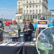 Protesters outside the Sea life centre in Brighton
