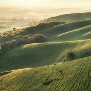 Firle Scarp by Finn Hopson, one of the judges of the photography competition