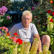 Geoff and the eucomis