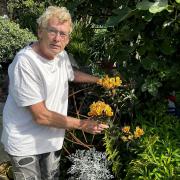 Geoff shows off the Indian Summer blooms